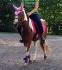 Moi et mon poney <3 Trouver vous que je suis trop grande pour...