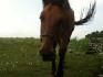 Rockie<3