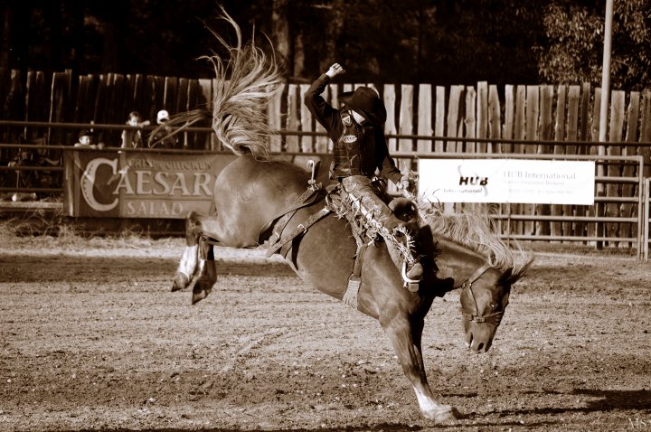 Cranbrook Rodeo Cranbrook Rodeo, BC - Photos de rodéos