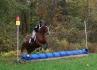 Sur Brazile au cross du Fun Show de Napierville,...