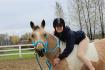 "C'est pas qu'un simple poney, c'est ma meilleure...