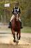 Sur Brazile au cross du Fun Show de Napierville,...