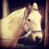 Spirit &#9829;
