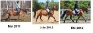 Évolution du travail de mon poney sur 2 ans