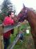 Mon poulain et mon chum <3