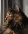 Marion, 2 ans plus tard