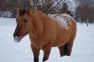 Ma grosse doudoune!