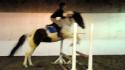 P'tit saut avec Toyyy
