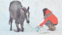 a genou poney (: