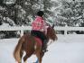 moi et balou a notre cours de saut d`obstacle :)