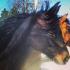le plus beau &#9829;