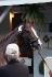 Mon cheval California Chrome a gagné le Kentucky Derby :) 