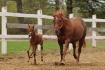 On garde maman en forme! 