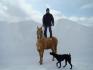 Moi et Gringo après la tempête,