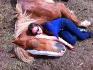 Voici Arthur, un cheval de trait de 2000livres qui adore que je...