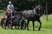 Notre nouvelle voiture de 'type marathon'!...