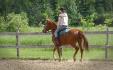 Et c'est partit pour un petit trot !