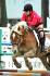 Ma dernière compé <3  Horses aren't my whole life... they make...