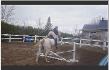 saut avec chester  3 sauts a vie