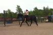 Deuxieme trot monté :) bien exécuté dans la léger...