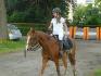 en plein ressanglage