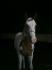 2014-07-28 : Kimmie qui prends la pose... 