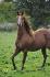 Le beau whizy :) RT photos