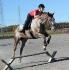 Petit saut mais gros overjump!:D Jadore comment il saute! Les...