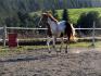 Ma pouliche Gytanne, 3 ans <3 