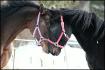 Faisons connaissance :) Destin et Celine <3