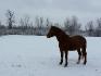 l'hiver &#9829;