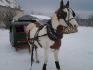 quelqu`un a une idée de l`âge svp? (sleigh bien sur)