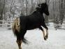 fou de la neige :P 