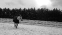 Mon cheval dehors 