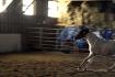 Galop
