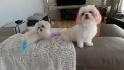 winny et roxy new look :)