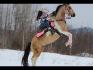 my dream <3 ma drag et moi dans les montagnes '