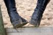 Mes bottes de cavalier. tout simplement.