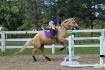 Pouliche Quarter Horse, 5 ans