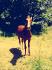 Enjoy &#9829;