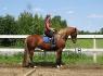 Entrainement sur ma jument, juillet 2015. :)