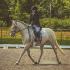 Rosie, première fois en niveau 1 dressage : 62% et 63% ! 