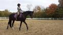Petite ride tranquille avec ma pouliche  :) On installe les...