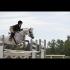 Thalia, arabe/Qh de 10 ans <3 