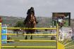 Mon cheval de sport