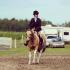 Ma ponette paint en Hunter !