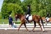 Saison de compétition 2014 <3 photo par Eve-lyne...