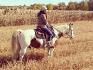 cest fou comme je laime mon gros poney !