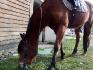 mon bb
