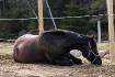 Repos! 